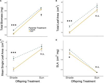 Context-Dependent Developmental Effects of Parental Shade Versus Sun Are Mediated by DNA Methylation